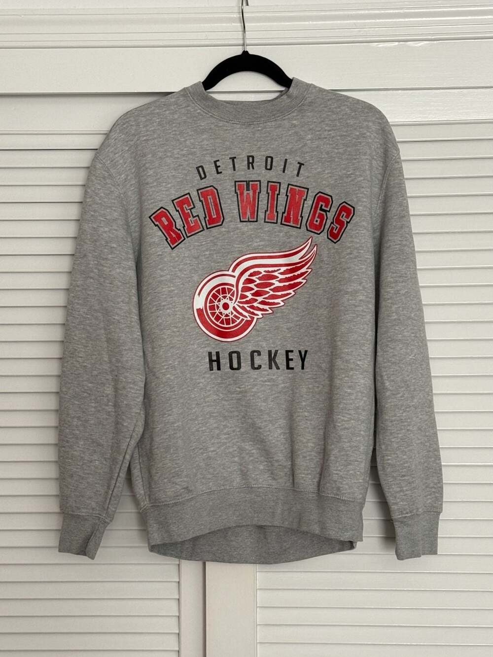 Detroit Red Wings NHL Graphic Crewneck Sweatshirt Gray Sz L